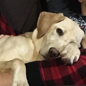 Meet your Posher, Chris